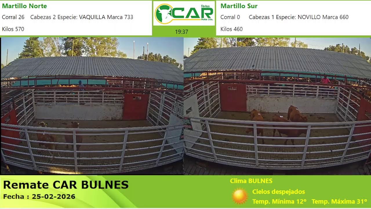 Transmisión en vivo de Ferias CAR Ñuble Ltda.