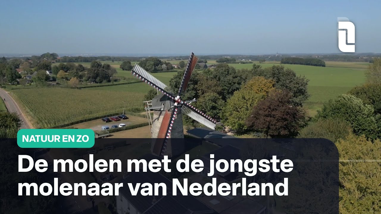 In Bemelen vangt een molen veel wind | Natuur en Zo 🌿