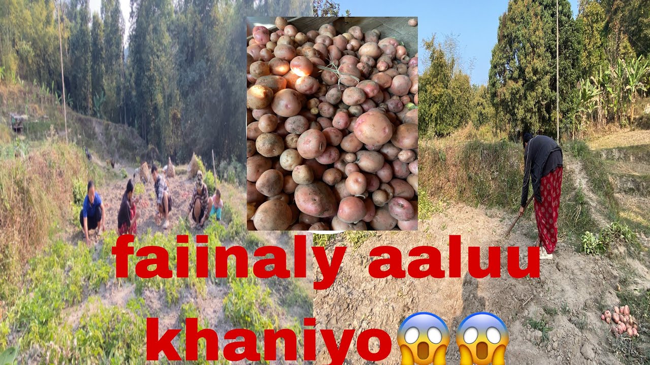 SO FAINLAY  SATHI HARU 😱 AALU KHANIYO 🤔🤔🤔🤭🤭🤭  PLEASE FULL WASH 🤭🤭🙏🙏