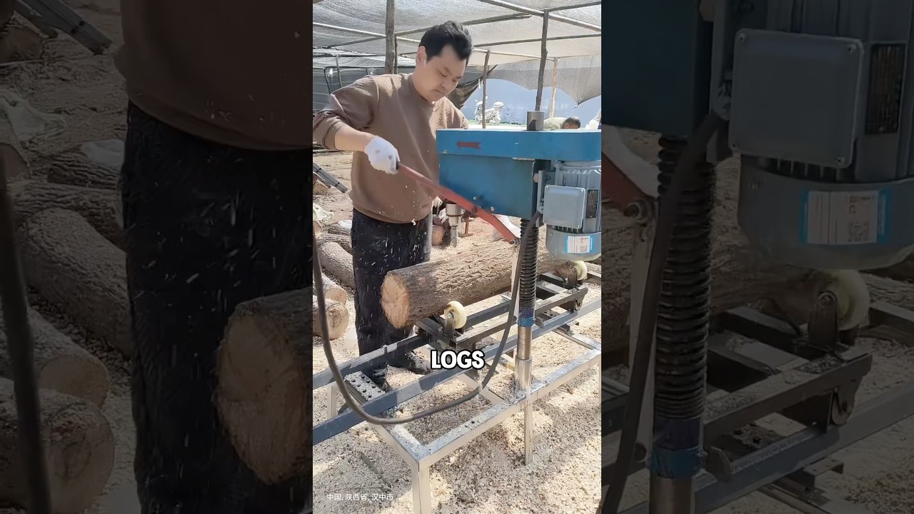 The interesting process of mushroom cultivation