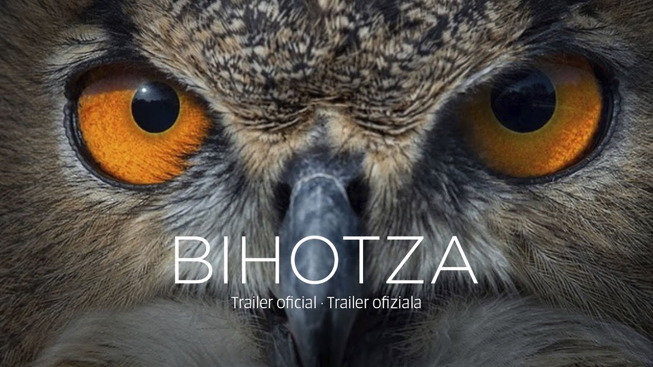 BIHOTZA (trailer) | Vital Fundazioa