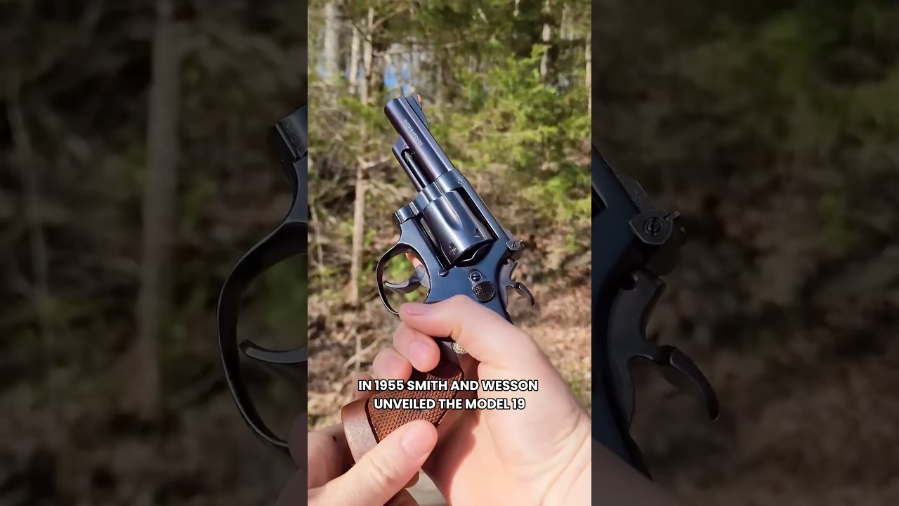 Почему полицейские отказались от модели 19 S&W