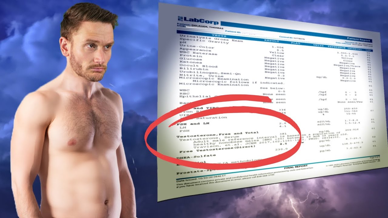 I Have Low T... Does that Mean No More Muscle?