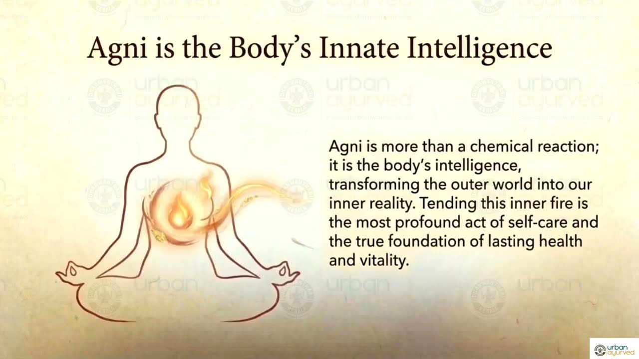  Agni in Ayurveda Explained | Metabolism & Clinical Correlation