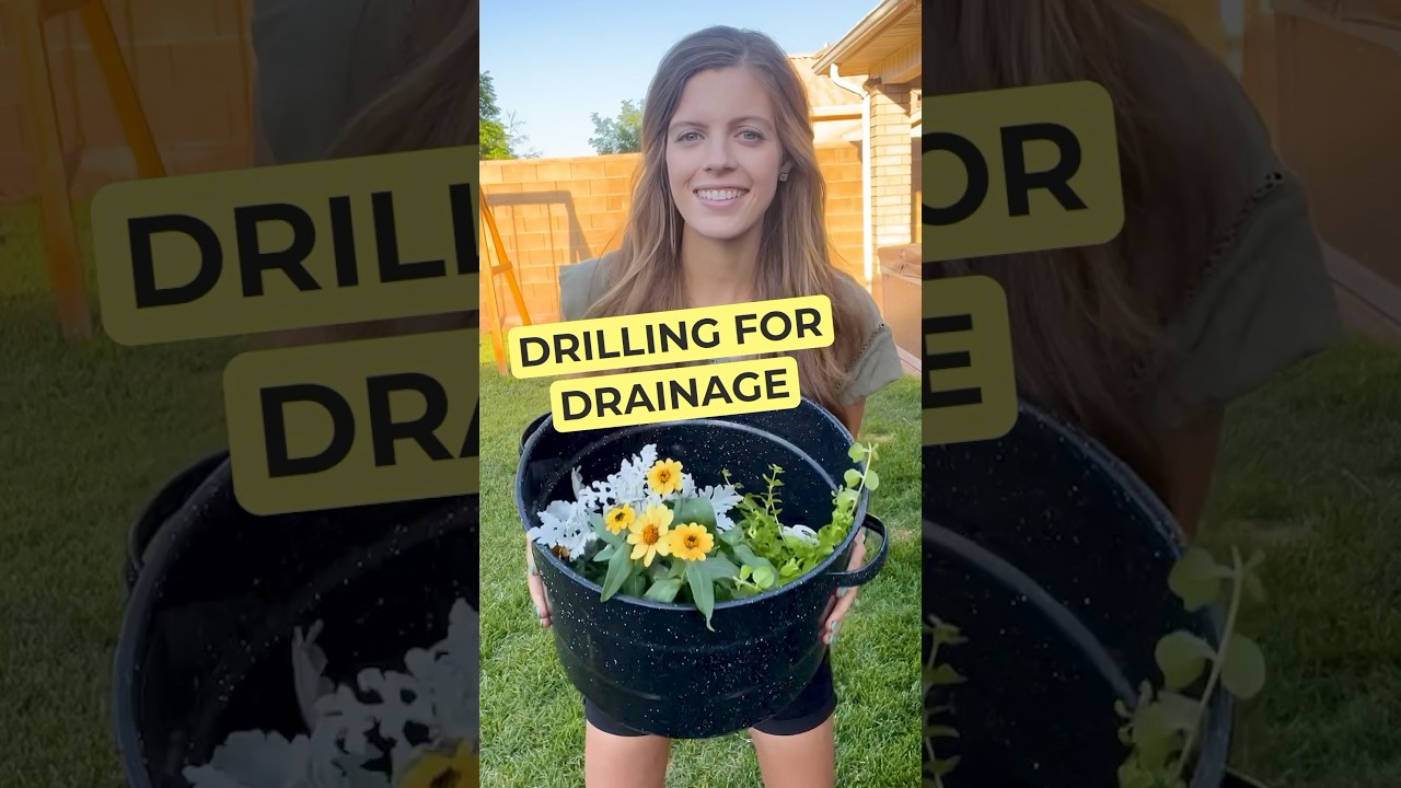 Found this old kitchen pot while thrifting and turned it into a planter 🪴 #greenthumb #pottedplants