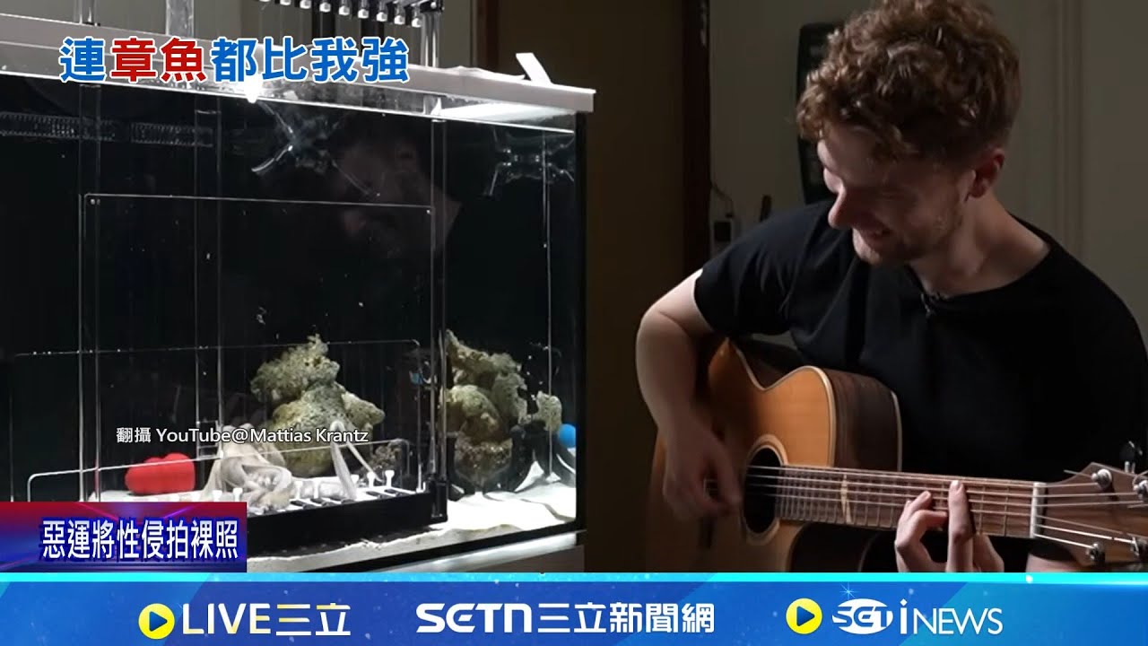 訓練章魚彈琴 瑞典音樂家驚呆555萬網友 