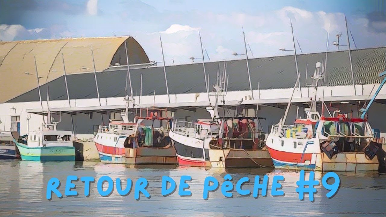 RETOUR DE PÊCHE #9 : VINYLES, K7 ET CD