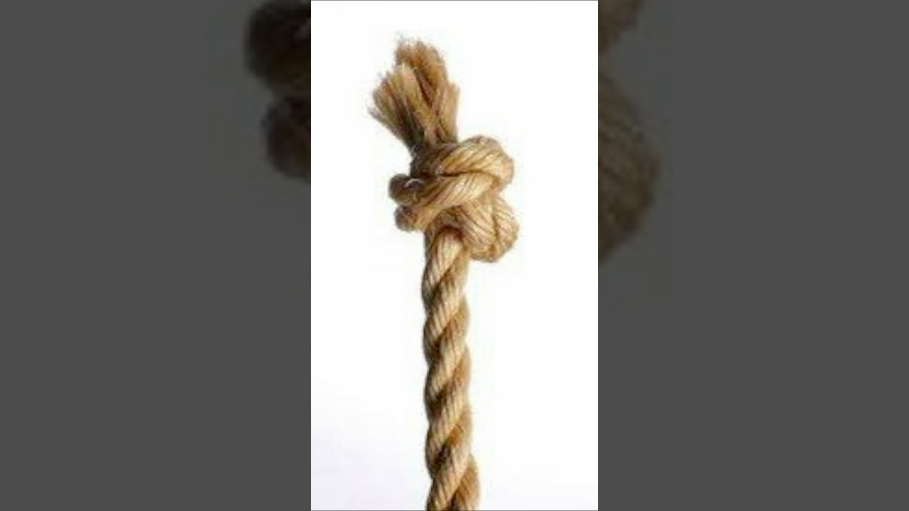 I&rsquo;m a frayed knot #monkeism #meme #memes #funny #fyp #yt #shorts #short #ytshorts