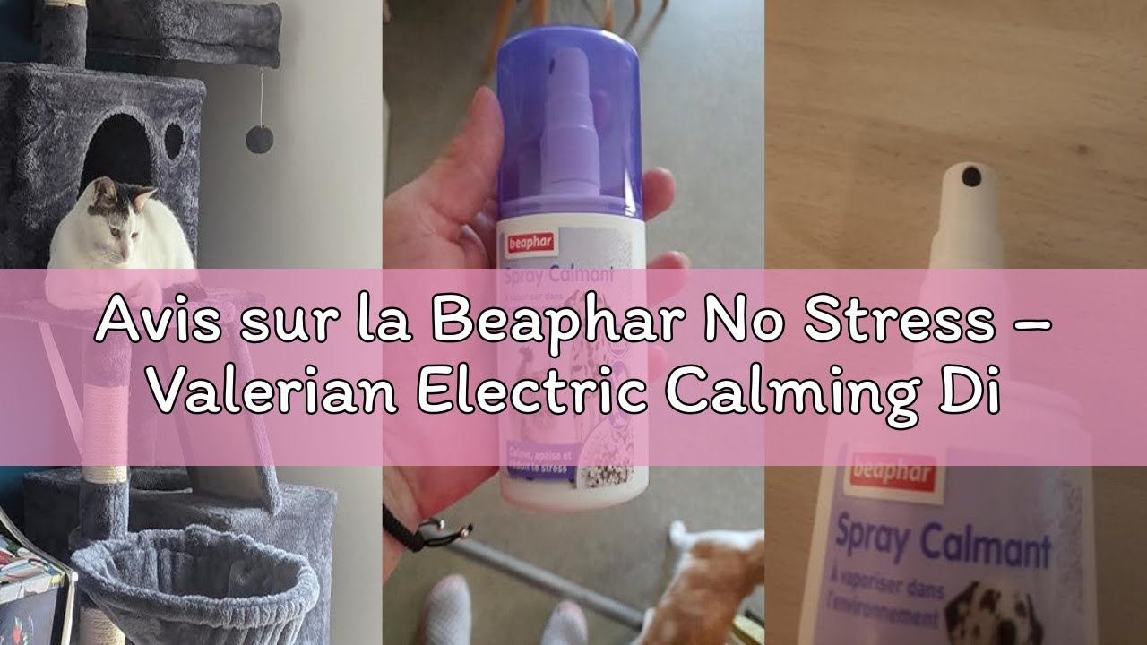 Avis sur la Beaphar No Stress – Valerian Electric Calming Diffuser for Dogs – Reduces Stress & Behav