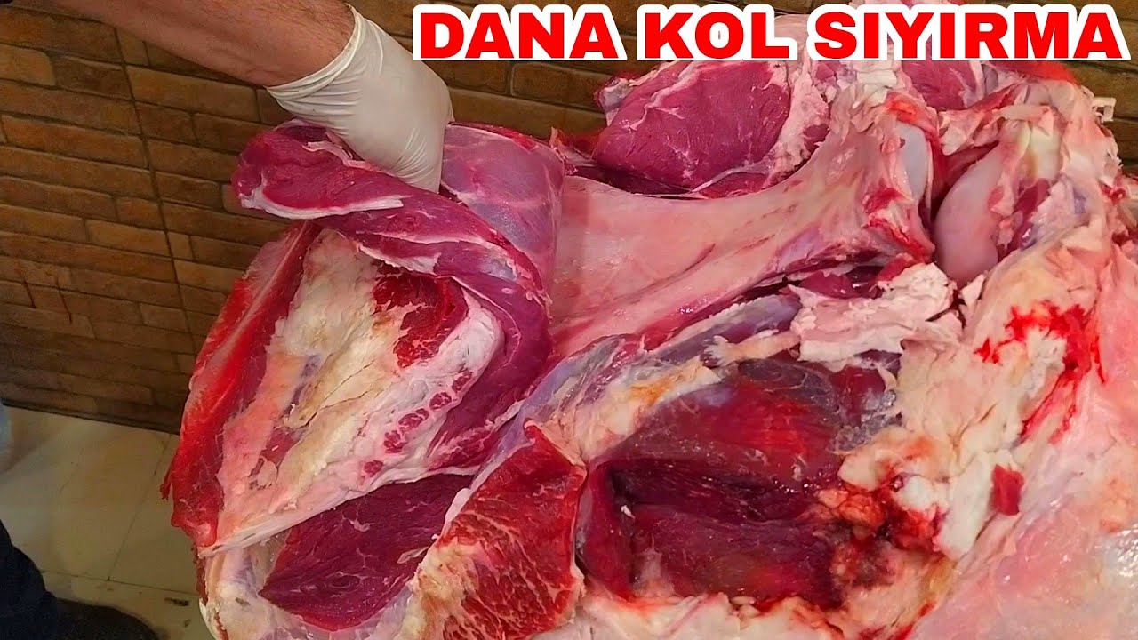 DANA KOL SIYIRMA, ET İŞLEME TEKNİKLERİ,