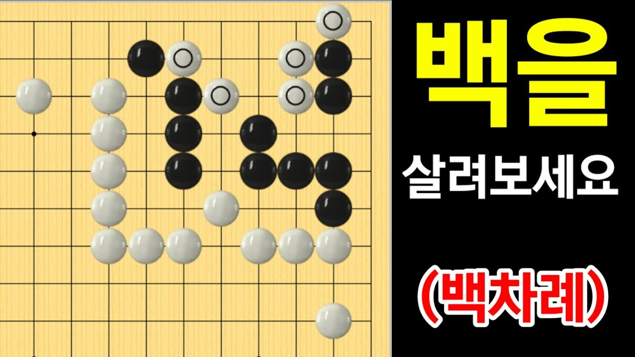 (바둑의기술 #278) 백을 살리는 방법 (275편 후속문제)