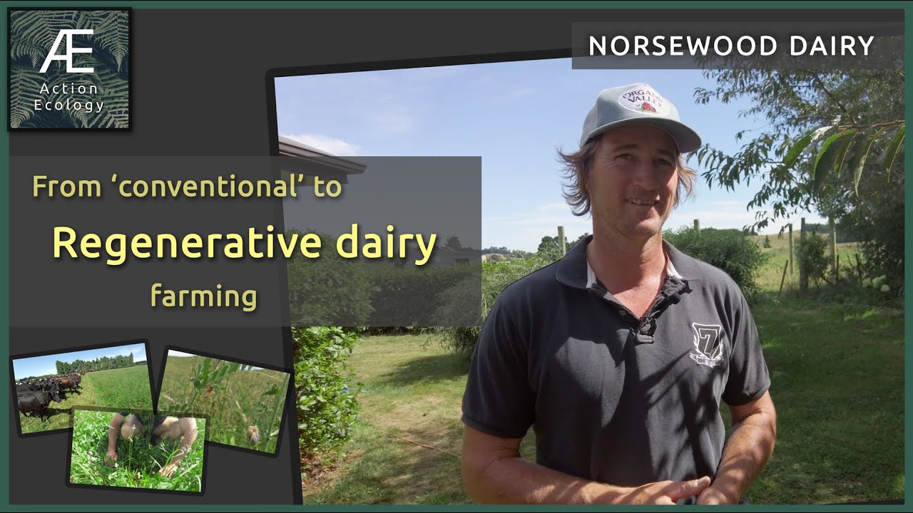 Regenerative Agriculture NZ Farm Tour 2021: S01E03 - Russell Heald : Norsewood Dairy, Manawatu