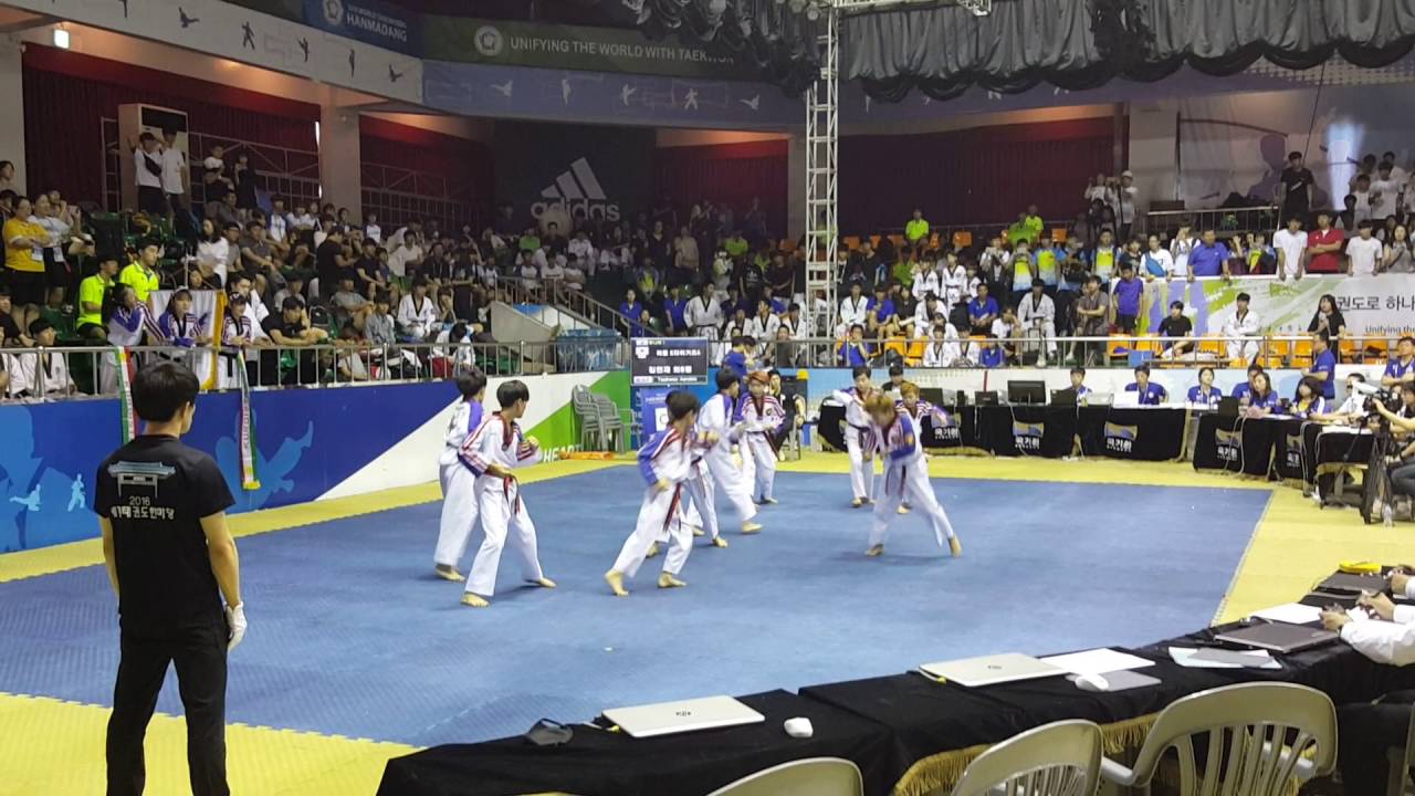 2016세계태권도 한마당 리틀K타이거즈A팀 리듬타 태권체조^^