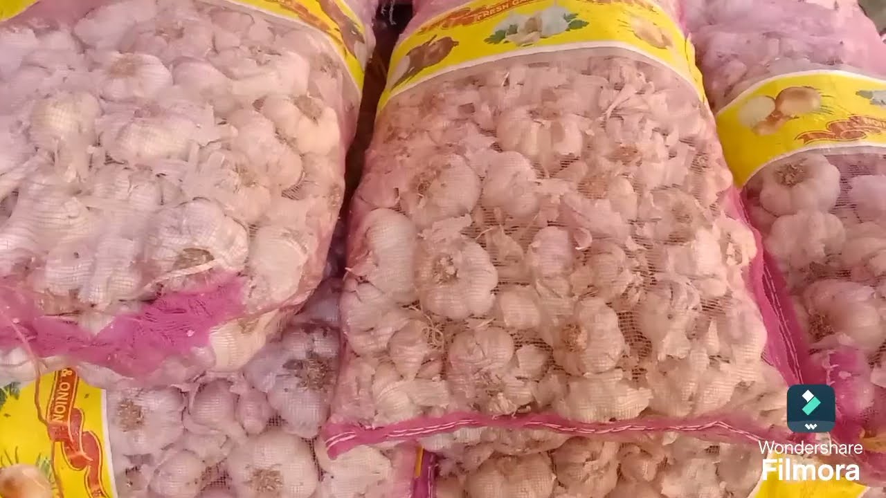 إنخفاض اسعار الطماطم في سوق العبور الي ١٦ ج الكيلو و شاهد جولة جديدة في عنابر الفاكهة و الاسماك