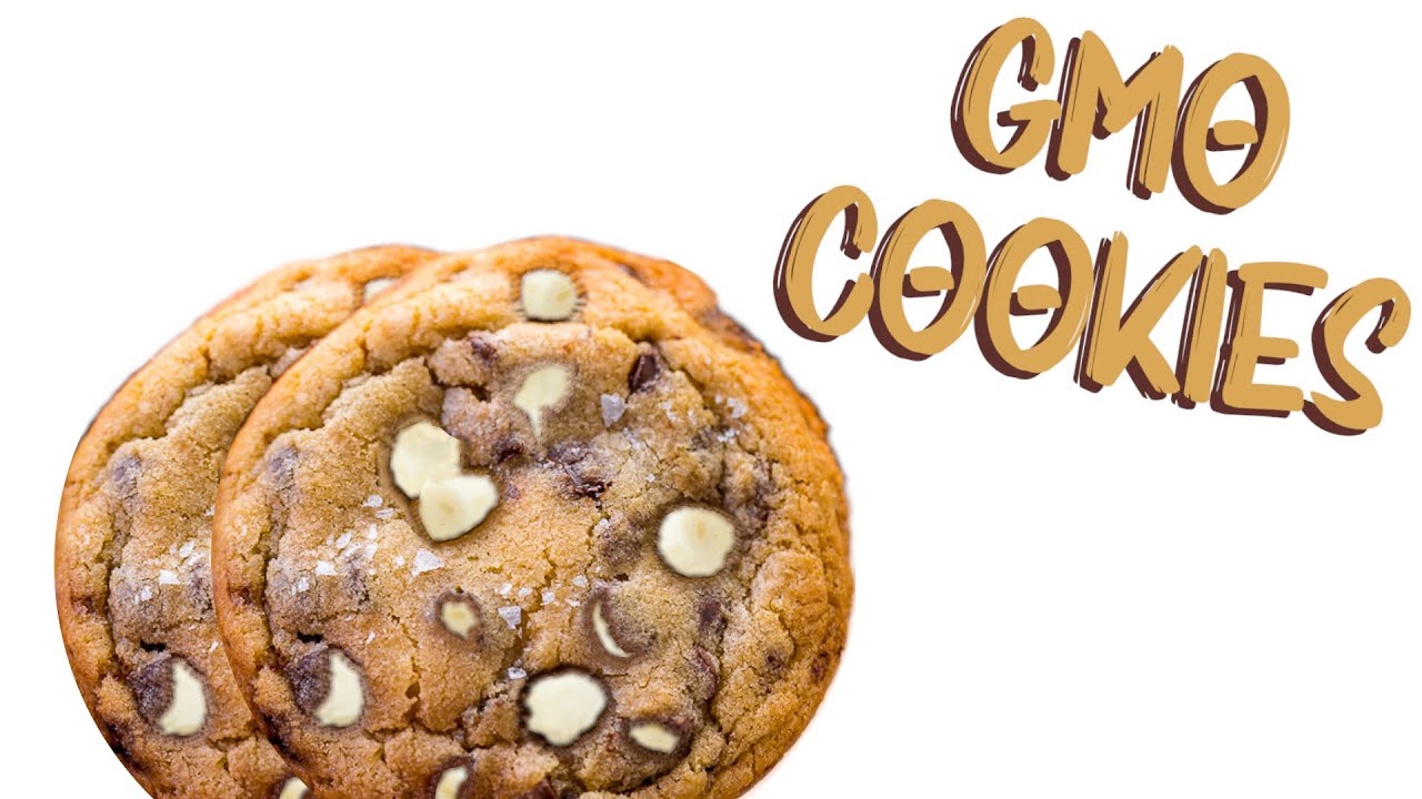 I Like to Have GMO Cookies in the Morning Before I Go Swimming