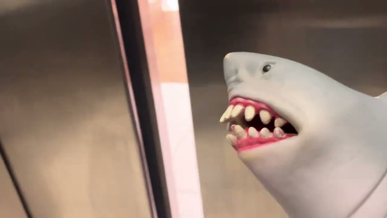 Shark puppet goes on an elevator part 131