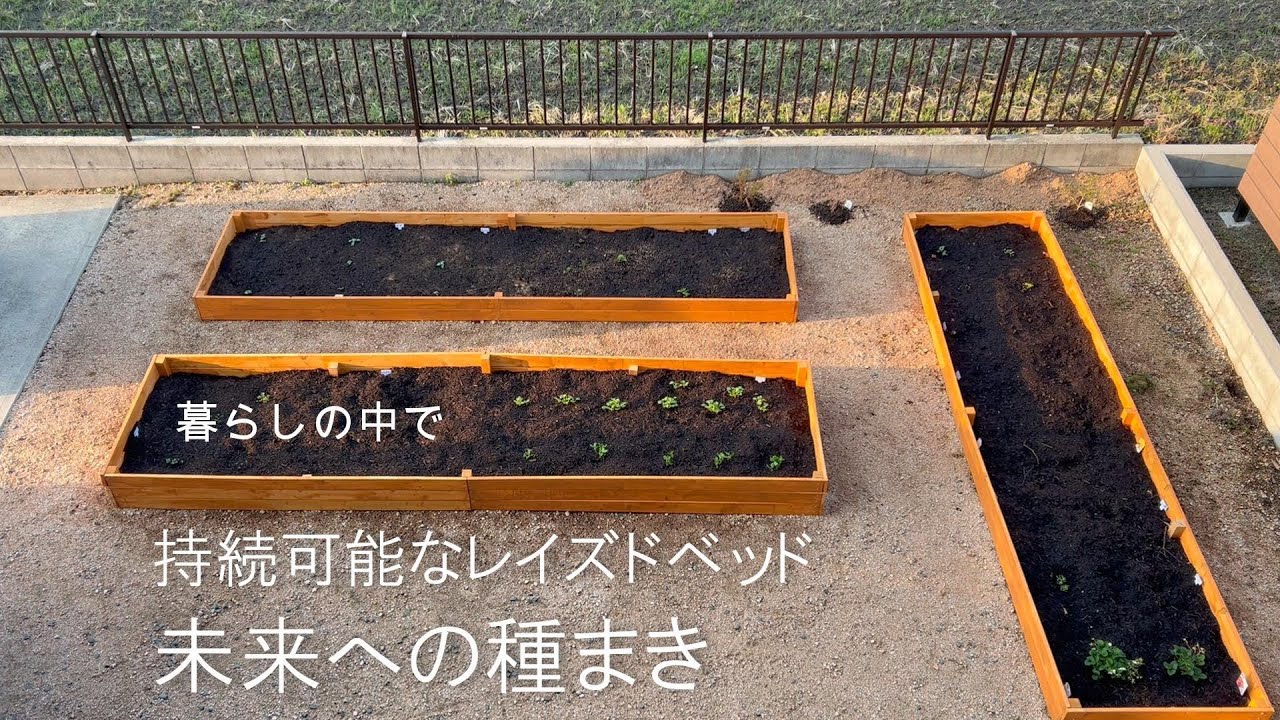持続可能なレイズドベッド　未来への種まき