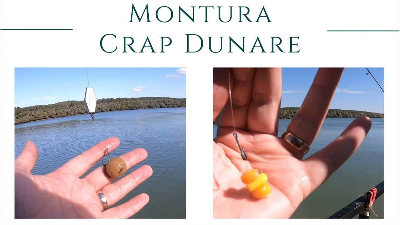 Montura pescuit la Crap pe Dunare