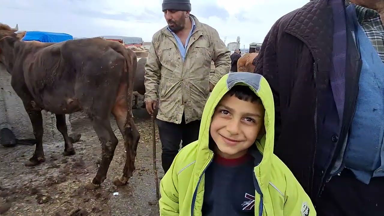 ÇORUM SUNGURLU HAYVAN PAZARI 1 MAYIS ÇEKİMİ 1.BÖLÜM 2 MAYIS 2025