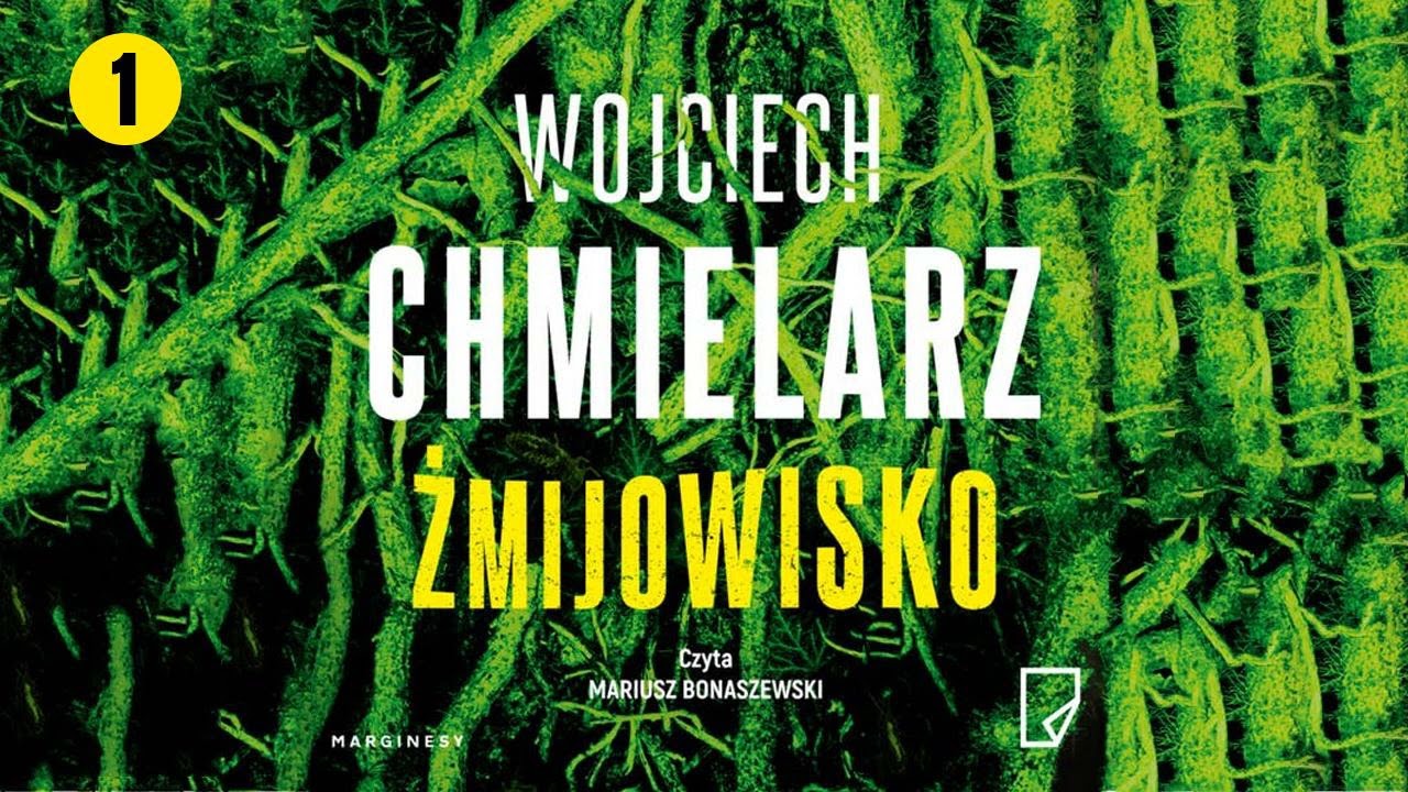 Żmijowisko Cz.1 Autor Wojciech Chmielarz Lektor Mariusz Bonaszewski Kryminały po Polsku AudioBook PL