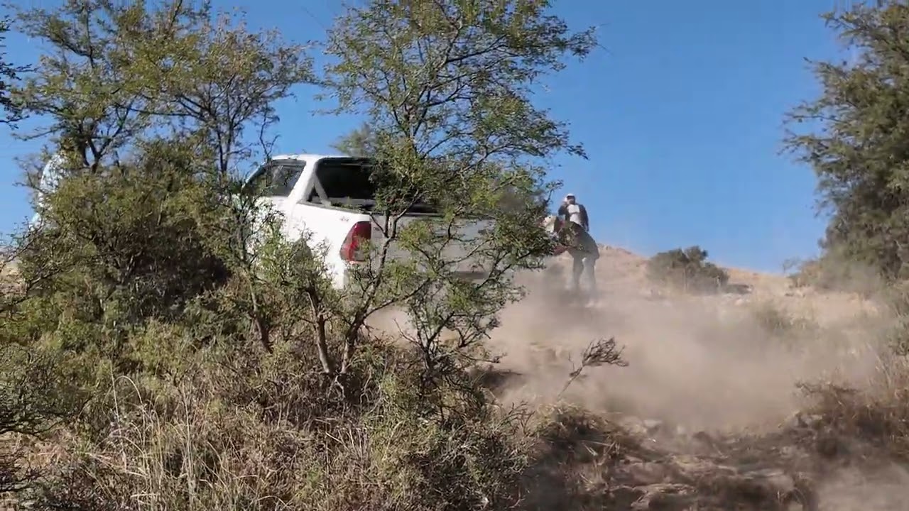 Hiluxing 