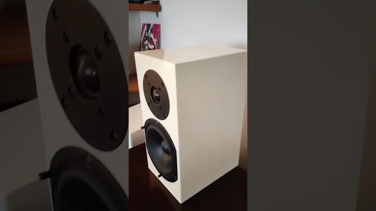 Тестовый ролик ( для объявления Авито ) полочников Audio physic Yara ll compact.