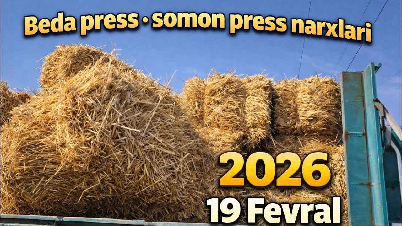 0802 2026 Beda press somon press narxlari