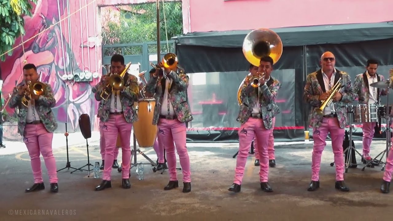 Banda la Suprema del Tiburón - Popurrí de sones