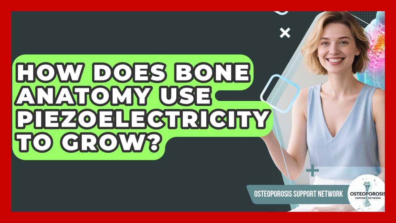 How Does Bone Anatomy Use Piezoelectricity To Grow? - Osteoporosis Support Network