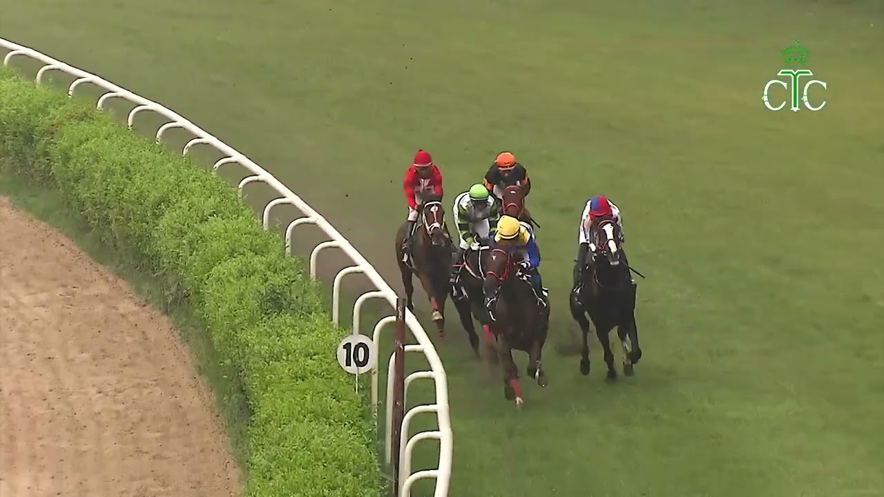 Того побеждает в скачках Abbeville Handicap.