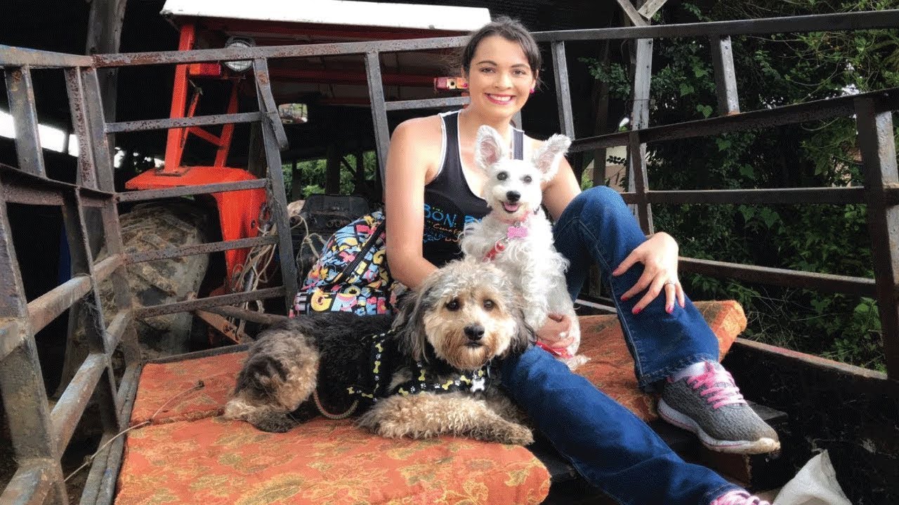 Un día en Catarata el Paraíso-Movete en el Mundo