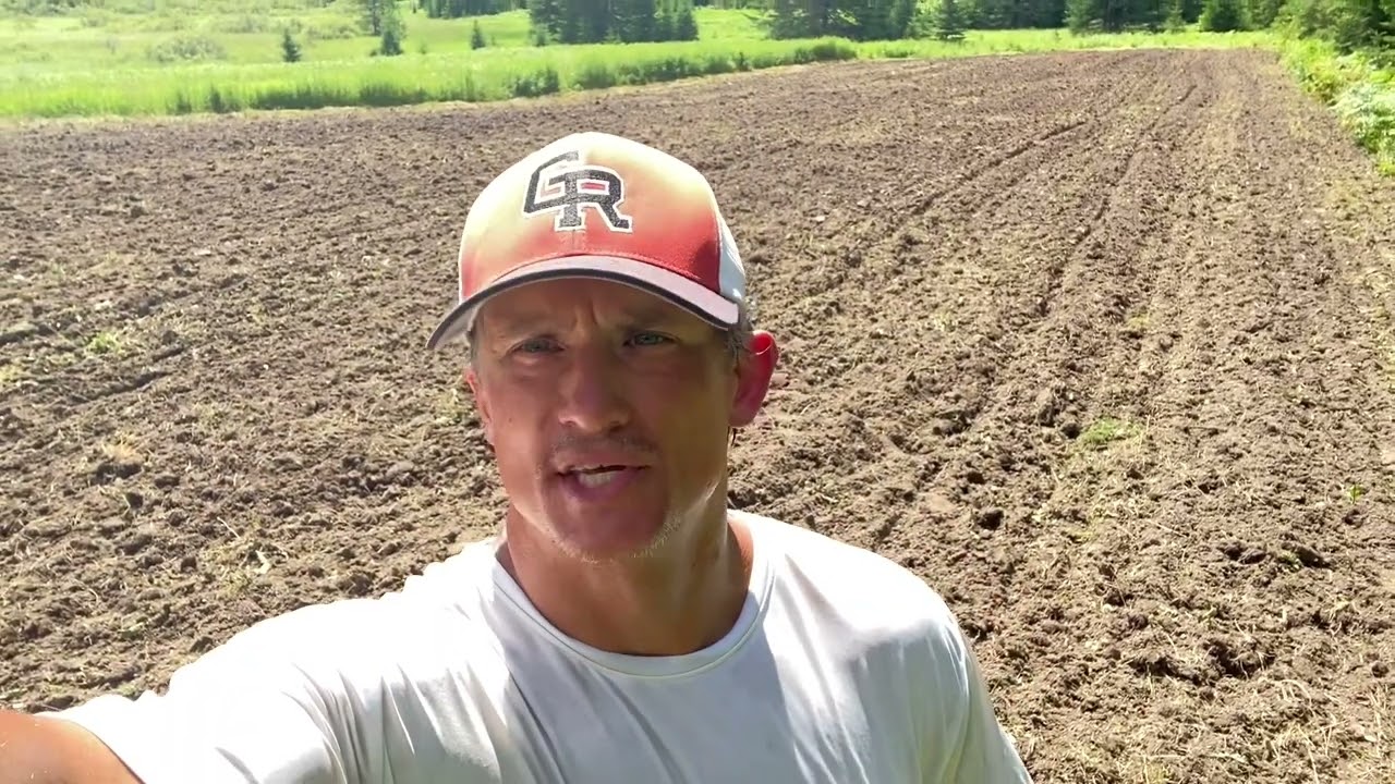 Step by step, putting in Brassica food plots.  Northern Minnesota 2022.￼