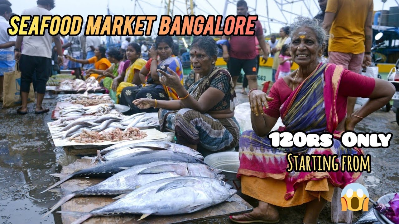 Russell Fish Market Shivajinagar | Wholesale Fish Market Bangalore Full Detail Video