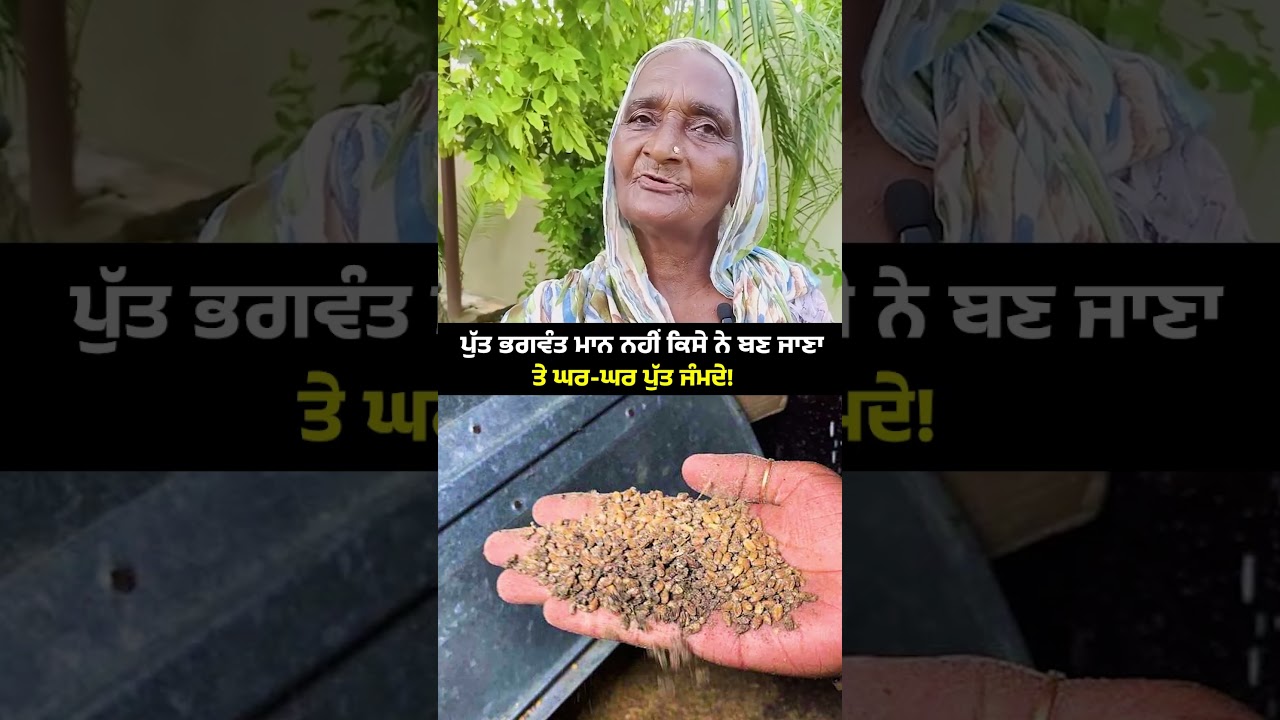 CM ਭਗਵੰਤ ਮਾਨ ਦੀ ਸੇਵਾ ਤੋਂ ਖ਼ੁਸ਼ ਹੋਈਆਂ ਪੰਜਾਬ ਦੀਆਂ ਲੱਖਾਂ ਮਾਵਾਂ ਦੇਣ ਦੁਆਵਾਂ