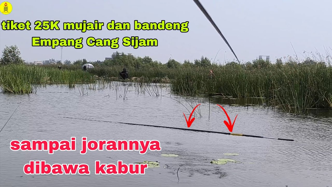 IKAN SEKARANG SUKA NGAMBIL TEGEK || mancing ikan mujair dan bandeng