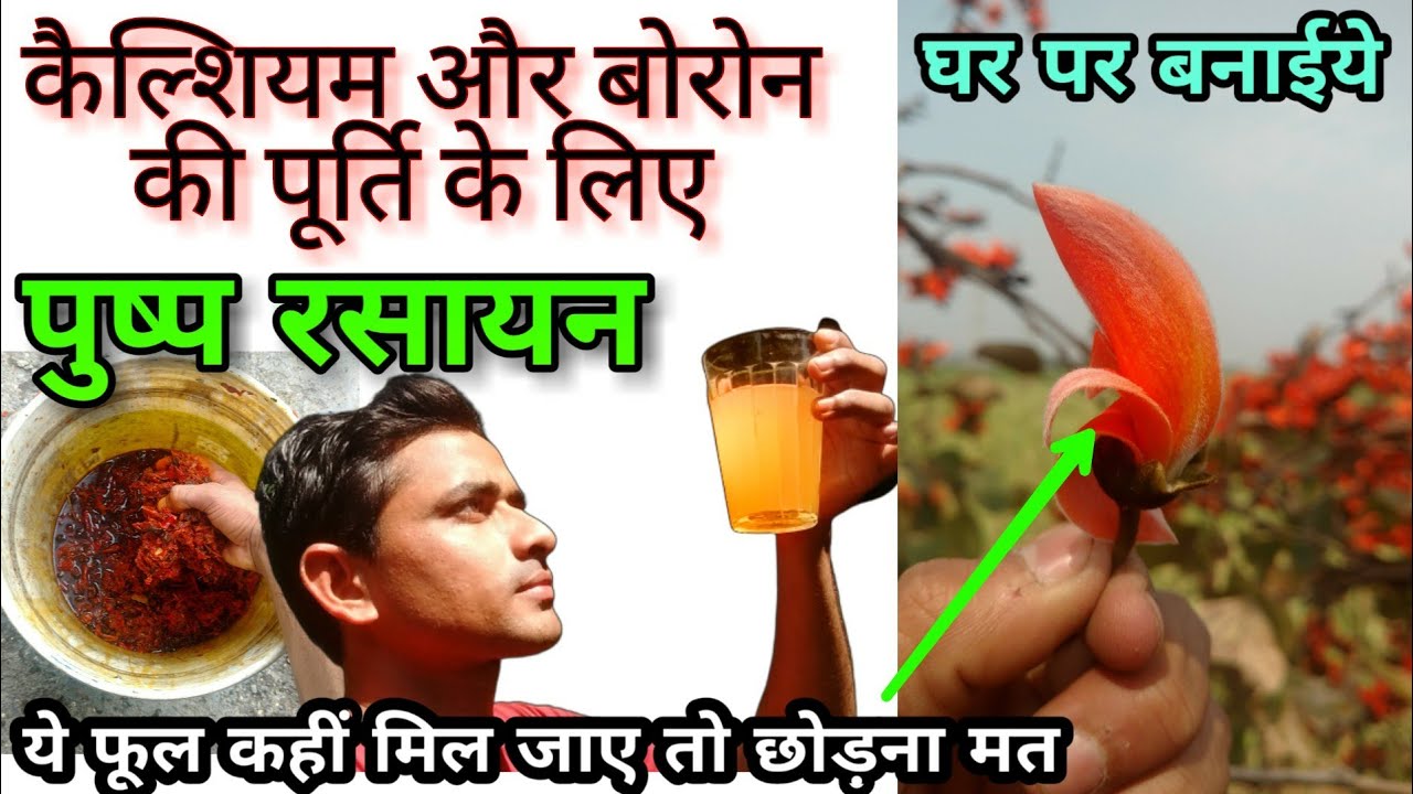 कैल्शियम_बोरोन के लिए घर पर बनाईये टोनिक | पुष्प रसायन बनाने का तरीका | Tonic for Calcium and Boron