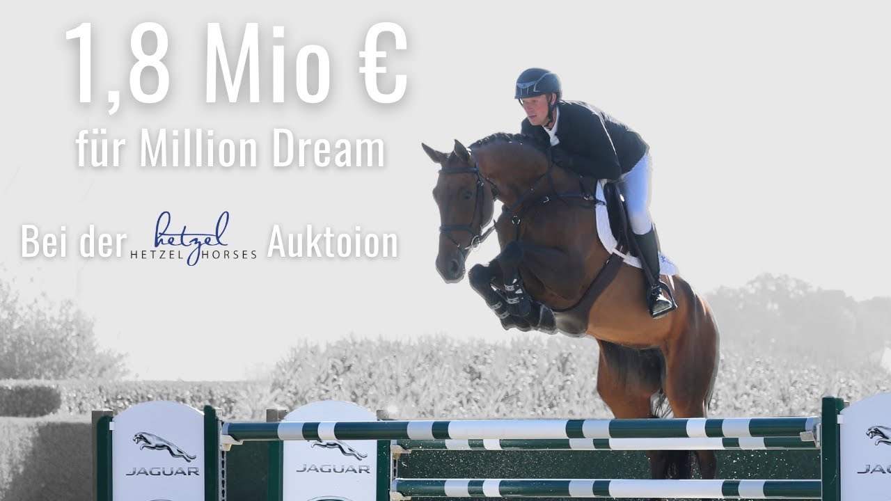1,8 Mio € 😱 | für Million Dream 😍 | 16. Springpferdeauktion bei Holger Hetzel