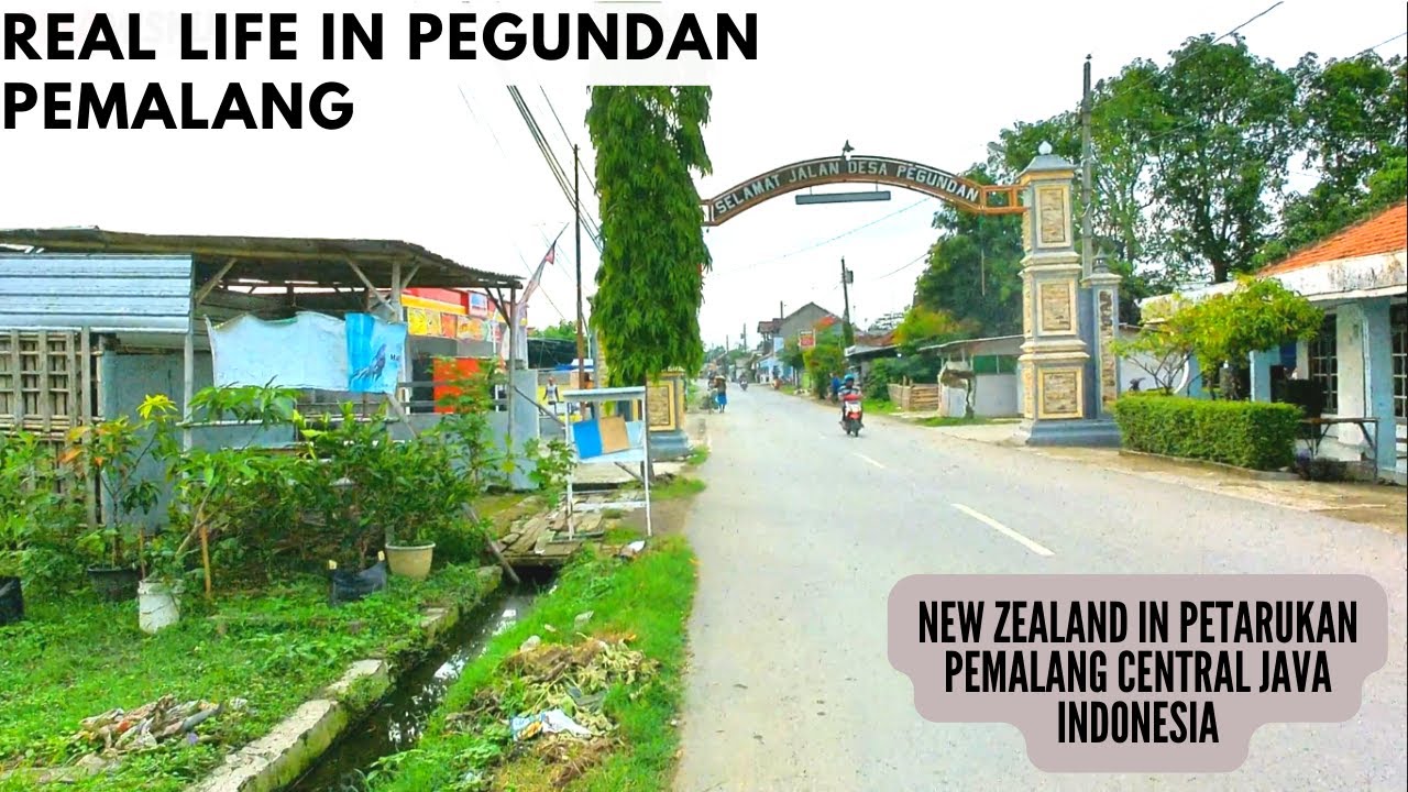 PEGUNDAN & PETINGGEN BULU PETARUKAN THIS IS THE ORIGINAL RURAL ATMOSPHERE IN PEMALANG INDONESIA 🇮🇩