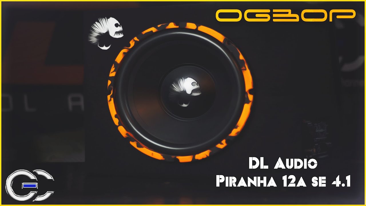 Обзор: Все в одном Dl Audio piranha 12a se 4.1