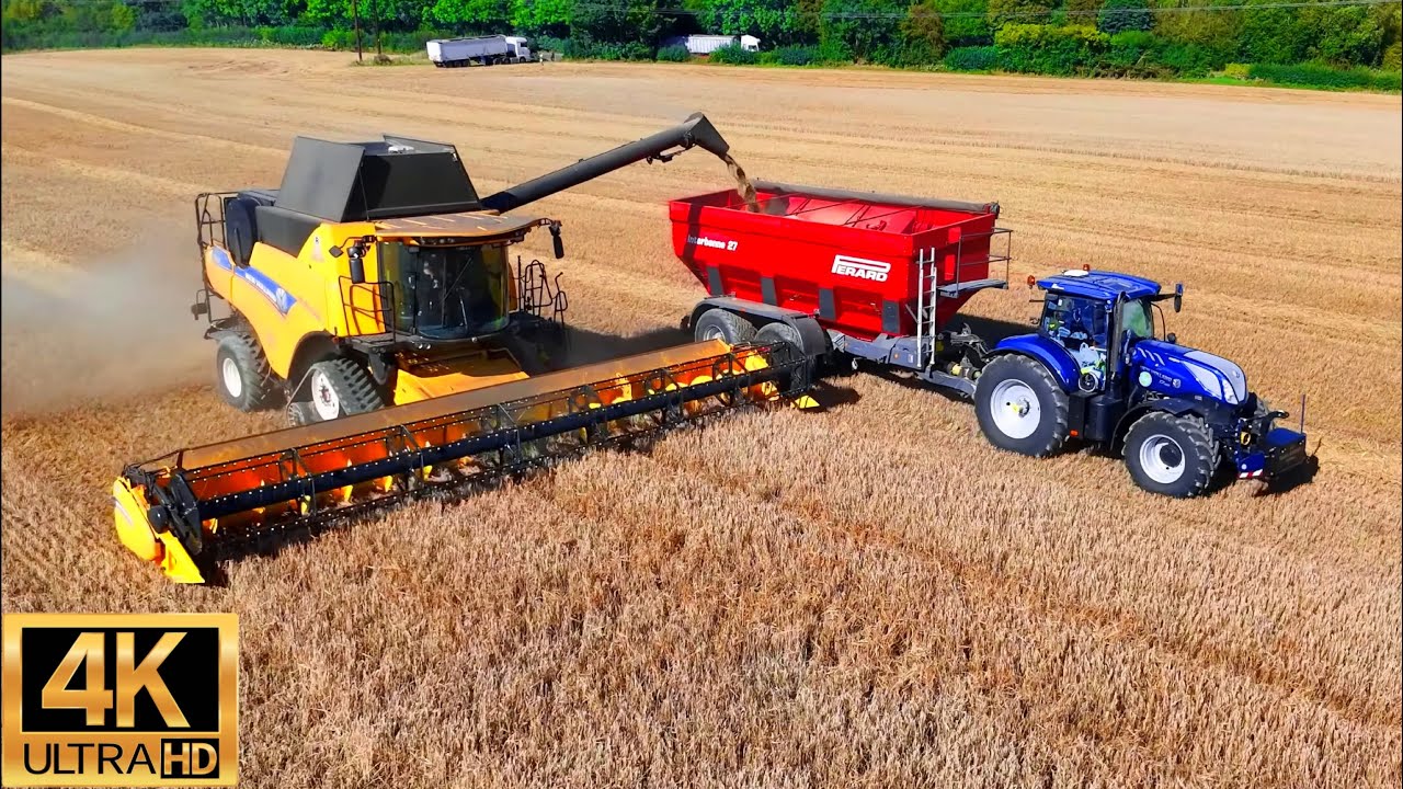 4K NEW HOLLAND CASE Harvesting WHEAT
