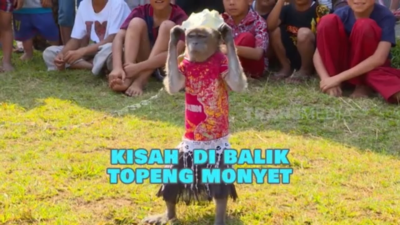 Kisah Di Balik Topeng Monyet | SI OTAN (16/10/24)