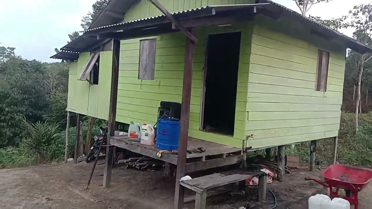 Di kebun Minggu 08 Pebruari 2026