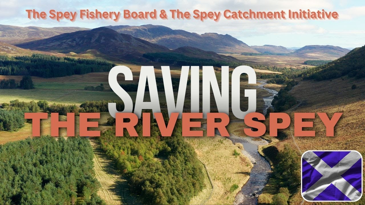 Saving Scotland's River Spey