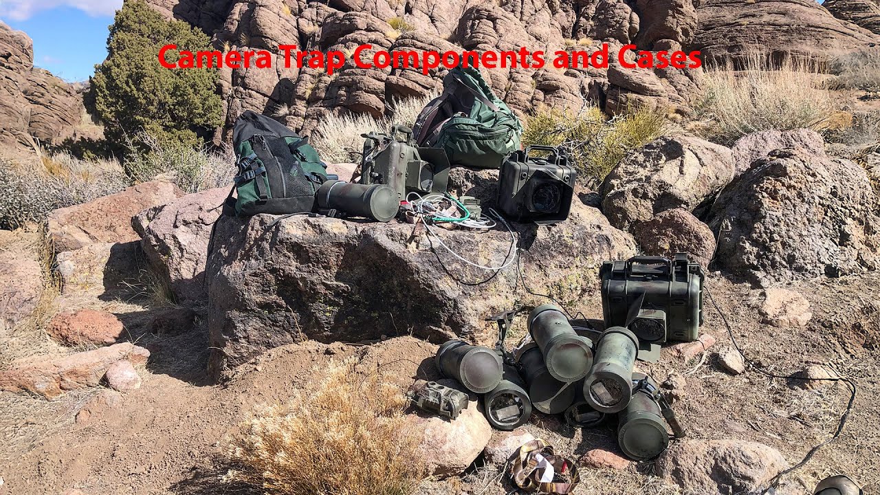 DSLR Camera Trap Components and Cases