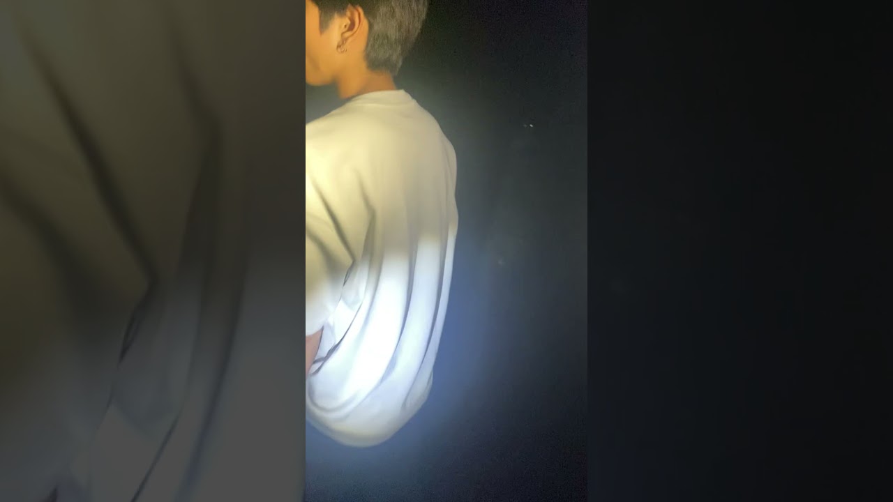 北海道旭川市の中国人墓地での映像です。