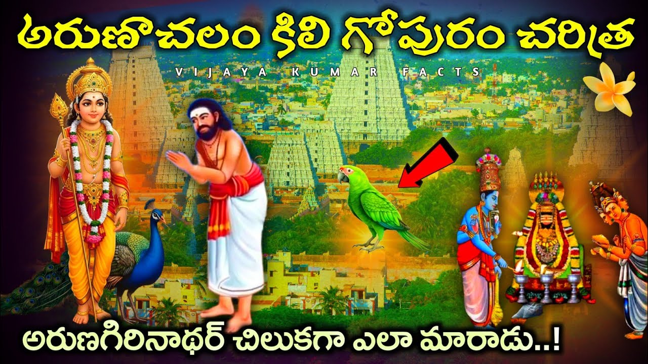 Arunagirinathar Kili Gopuram History In Telugu | Arunachalam Temple | Vijaya Kumar Facts