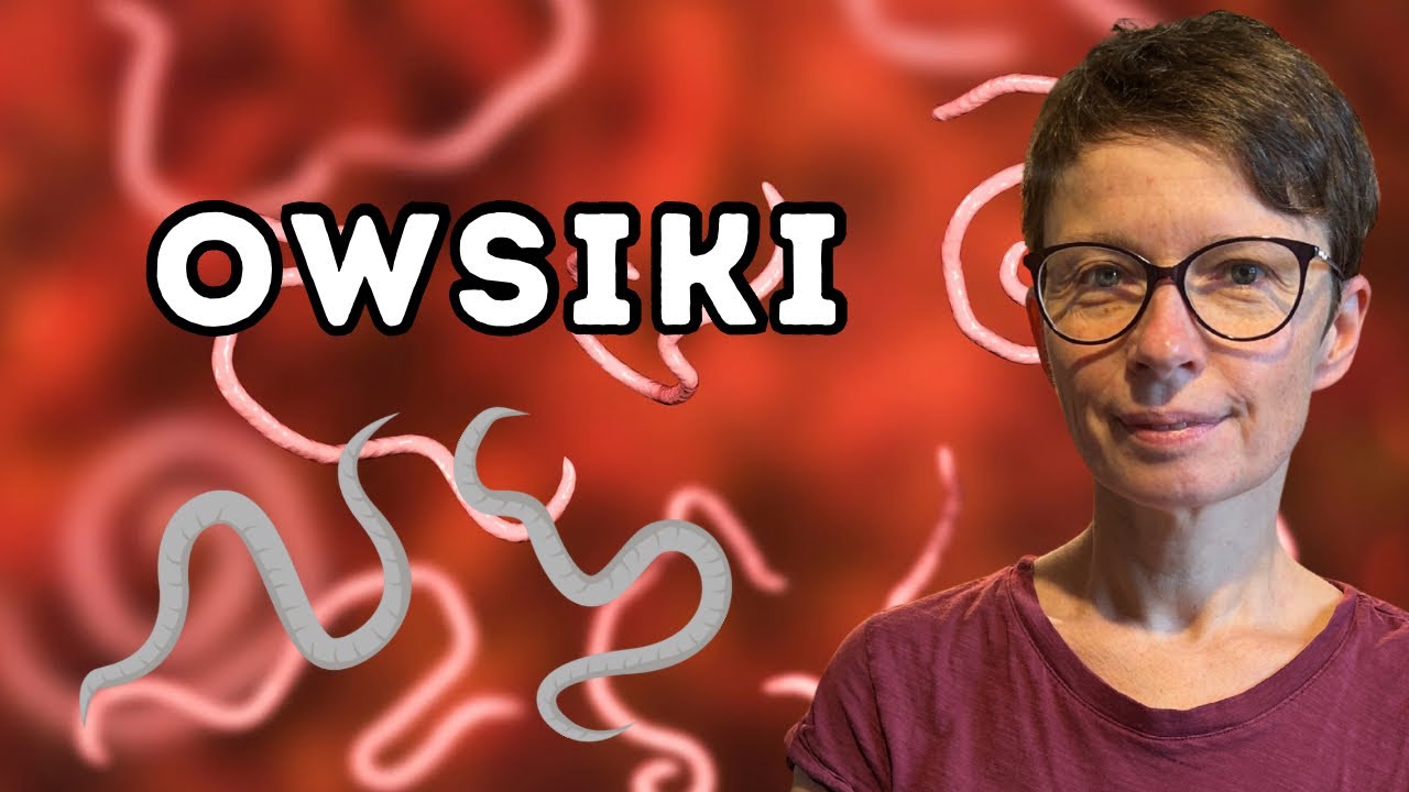 Wstydliwy problem czy cichy wróg? Jak owsiki niszczą zdrowie dorosłych. 