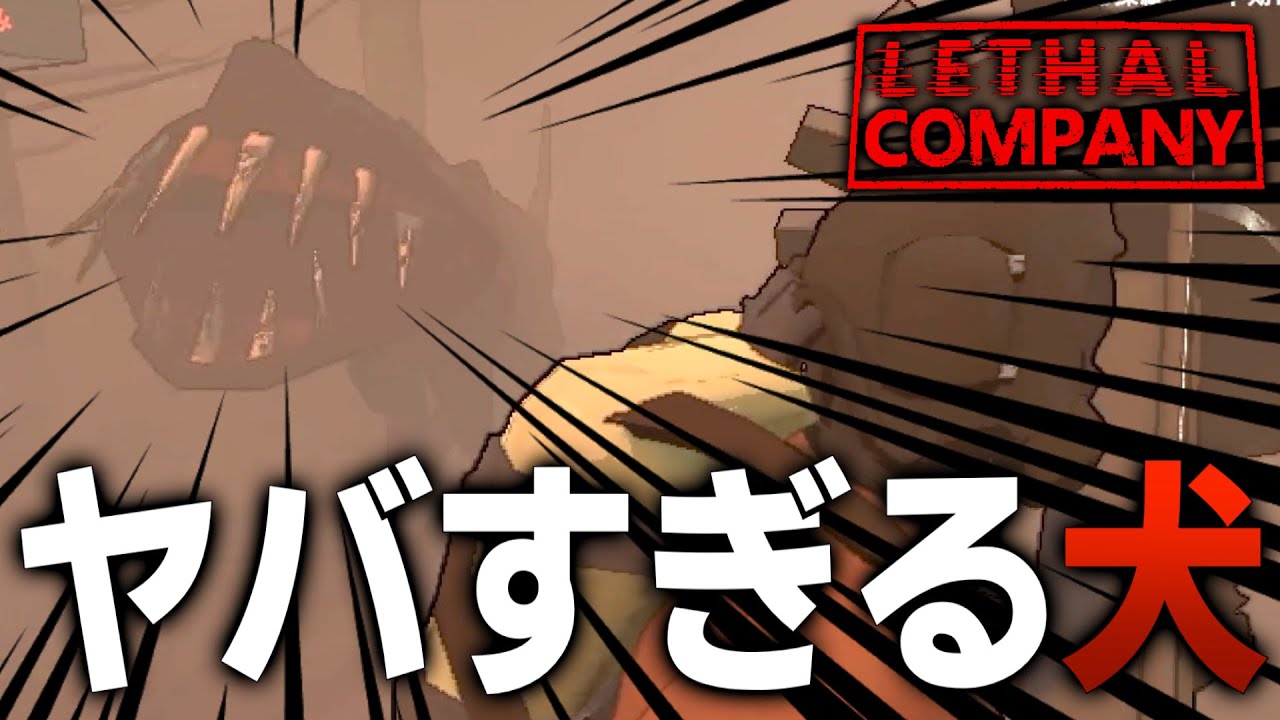 【Lethal Company】音を出した瞬間に襲いにくる犬がヤバすぎるw