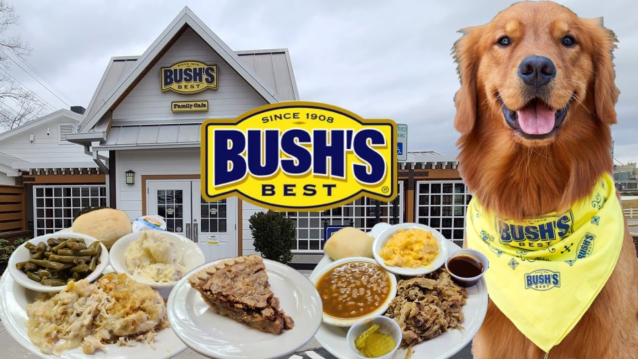 Обзор и магазин Bush's Family Cafe в Дэндридже, Теннесси