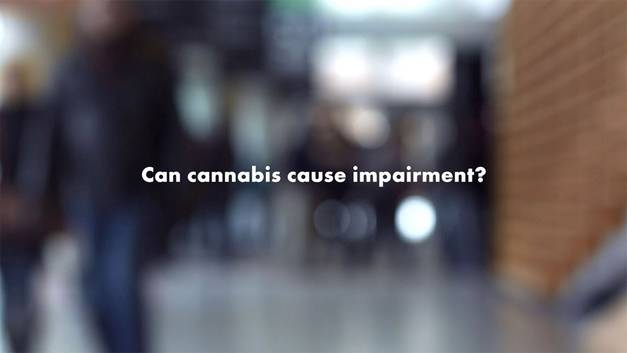 Your Cannabis Questions, Answered: What are the risks of driving high?